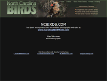 Tablet Screenshot of ncbirds.com